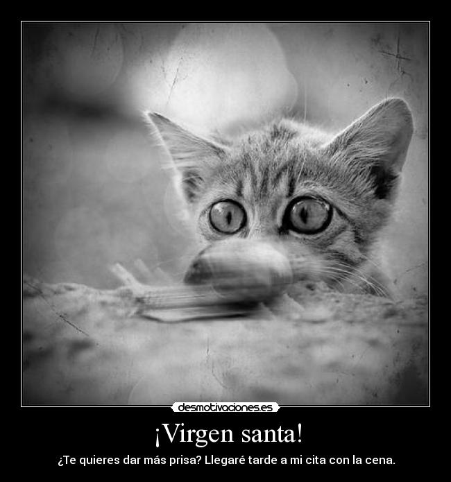 ¡Virgen santa! - 