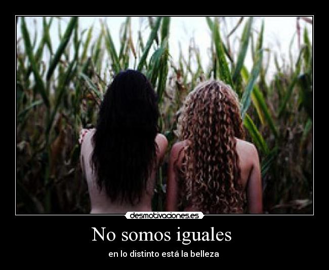 carteles dont copy jajejijoju verasqueresaconmanana desmotivaciones