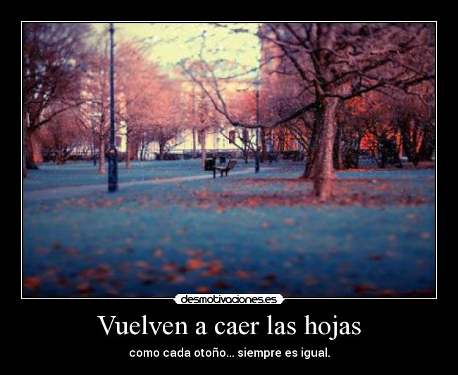 Vuelven a caer las hojas - 