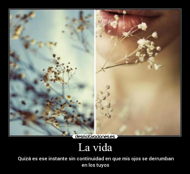 La vida - Quizá es ese instante sin continuidad en que mis ojos se derrumban en los tuyos
