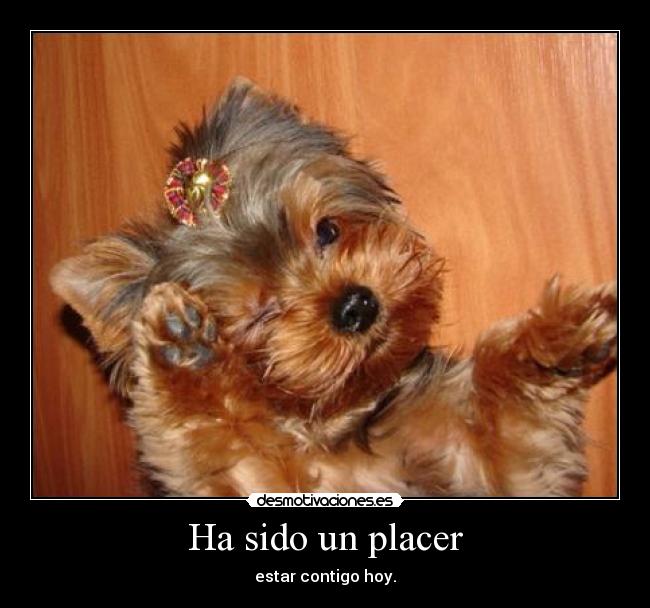 Ha sido un placer - 