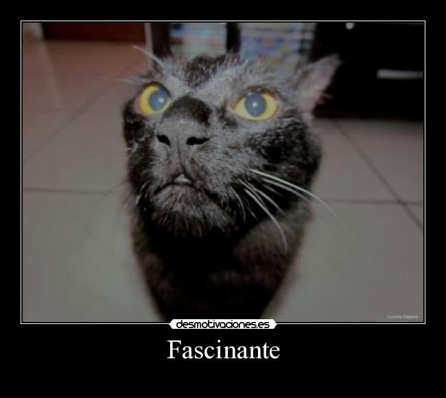 Fascinante - 