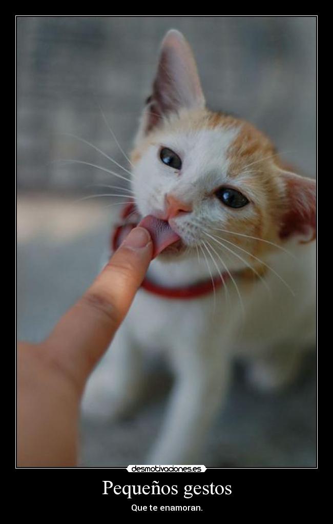 carteles dkaljfahfajafe que cosita mas mona desmotivaciones