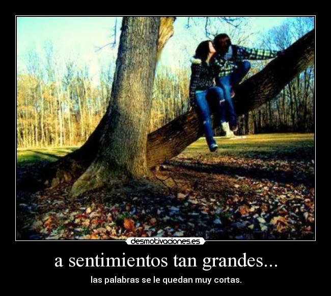 a sentimientos tan grandes... -