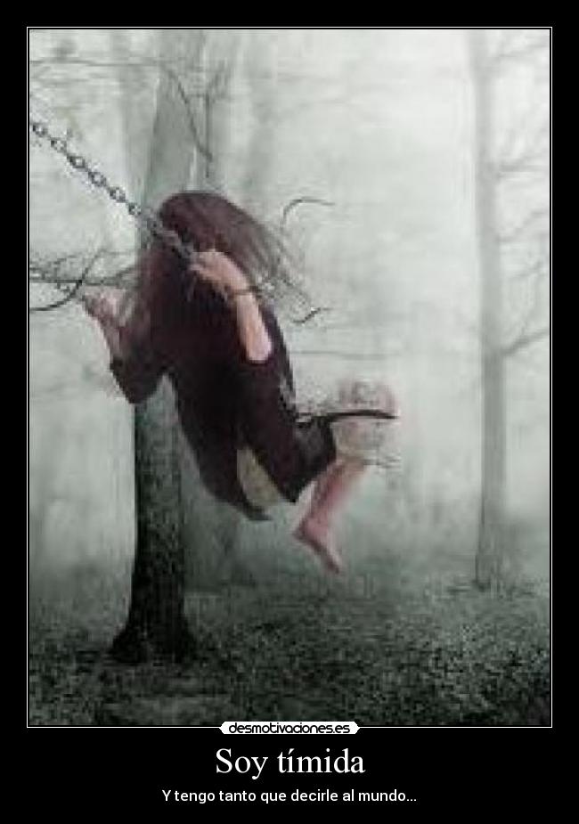 carteles timida desmotivaciones