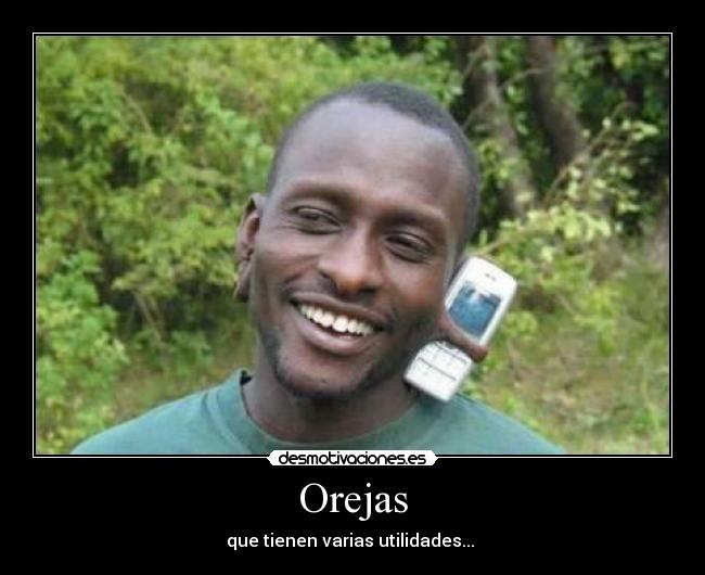 Orejas - que tienen varias utilidades...