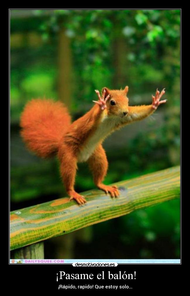 ¡Pasame el balón! -