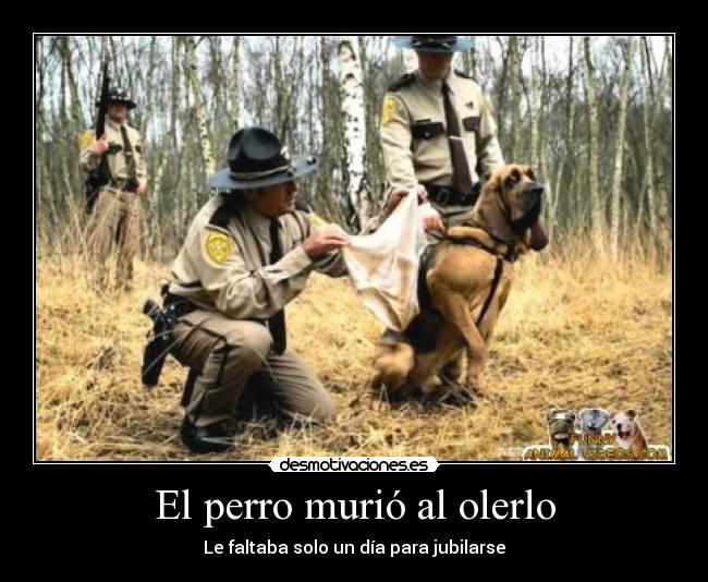 El perro murió al olerlo -