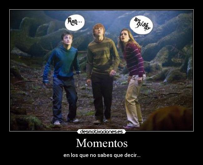 Momentos -