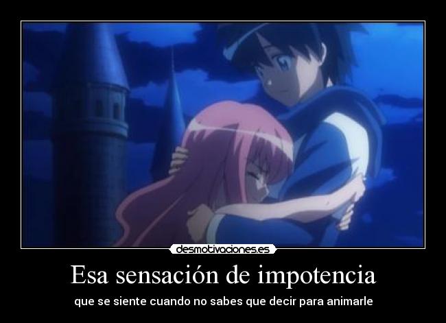 carteles sensacion impotencia animos zero tsukaima louise saito desmotivaciones