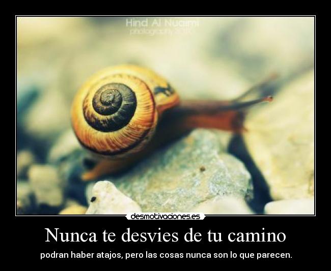 Nunca te desvies de tu camino - 