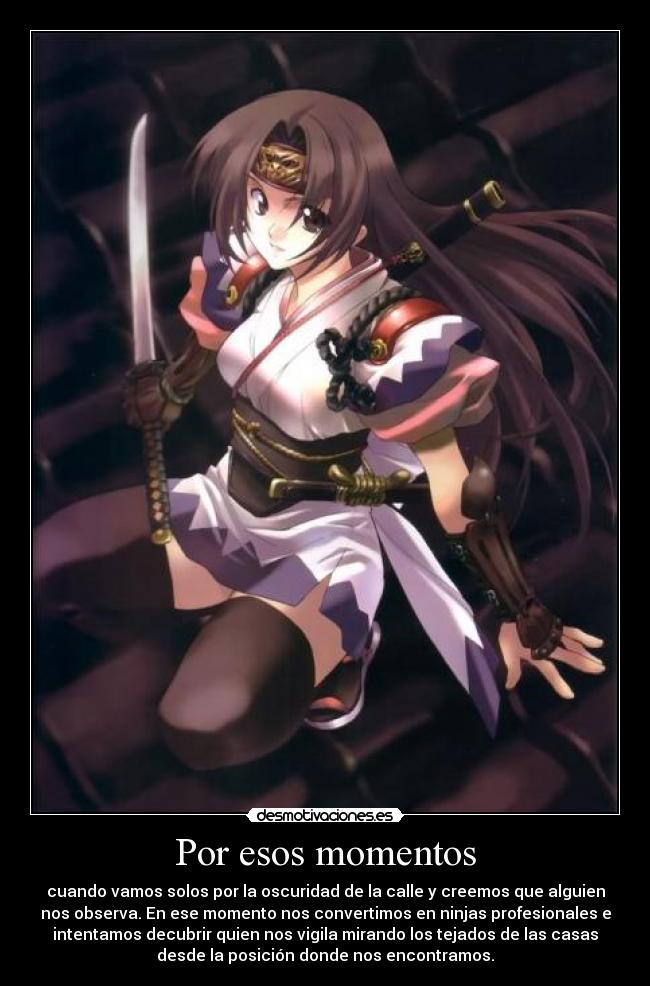Por esos momentos - cuando vamos solos por la oscuridad de la calle y creemos que alguien
nos observa. En ese momento nos convertimos en ninjas profesionales e
intentamos decubrir quien nos vigila mirando los tejados de las casas
desde la posición donde nos encontramos.