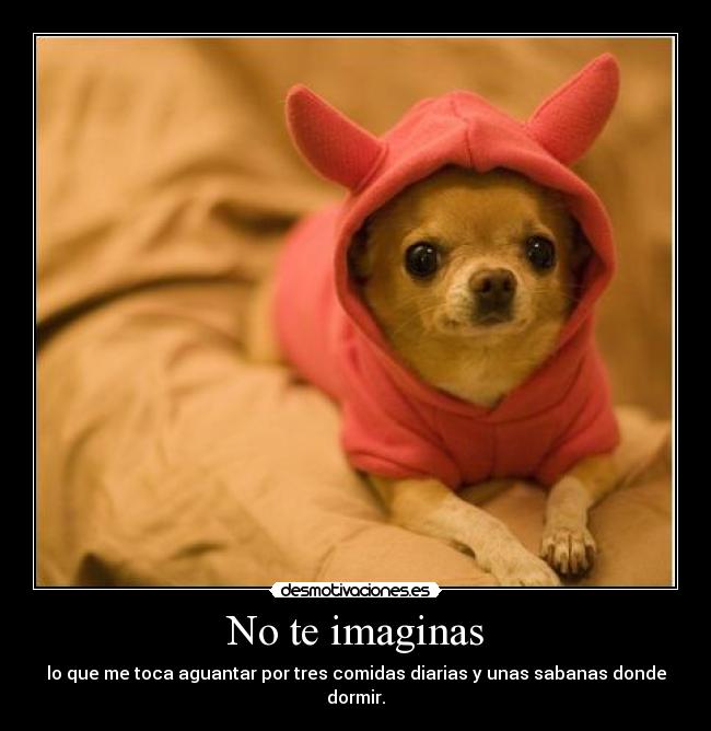 carteles jajajajajajajajajajaja desmotivaciones