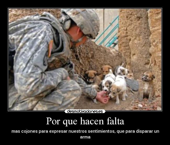 Por que hacen falta -