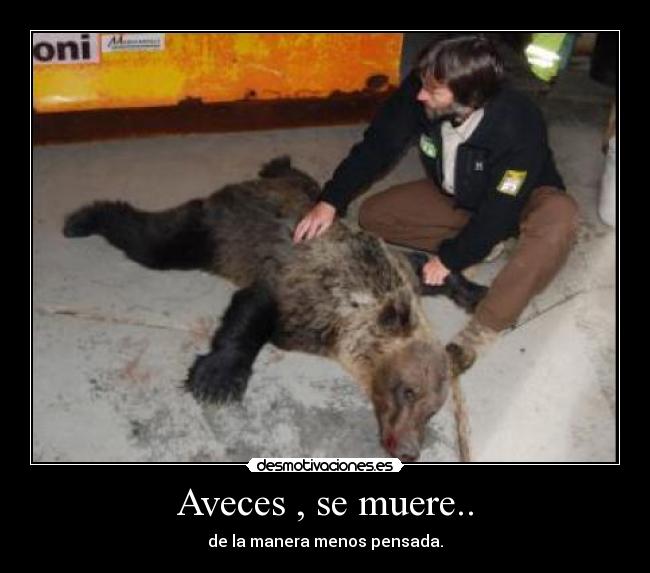 Aveces , se muere.. - 