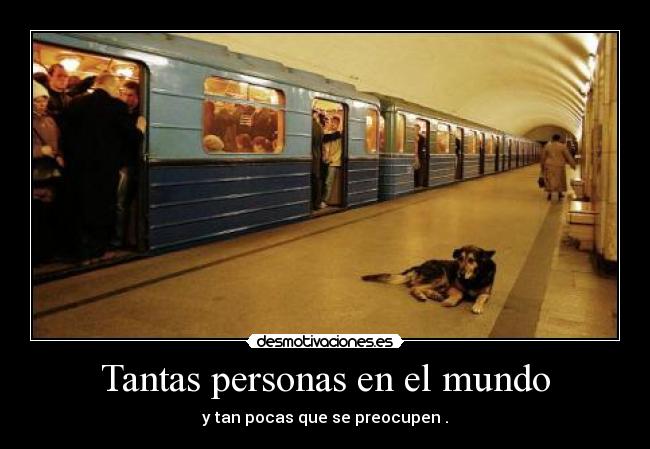 Tantas personas en el mundo -
