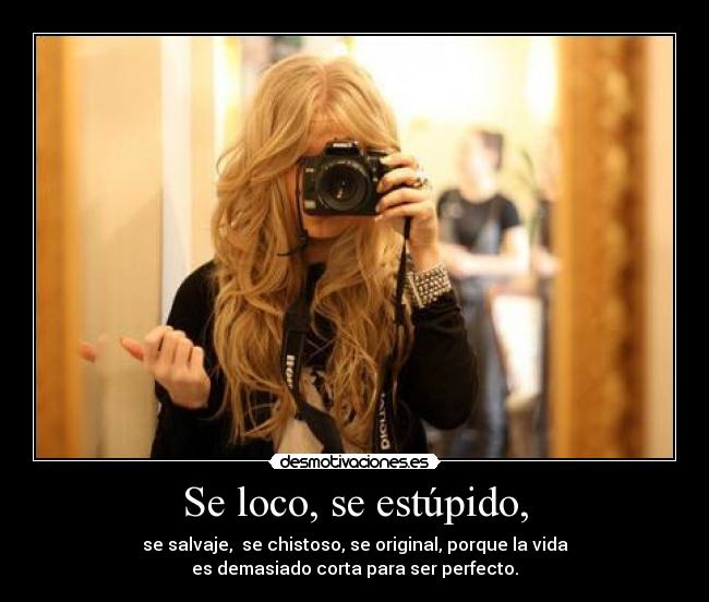 carteles chelerita desmotivaciones