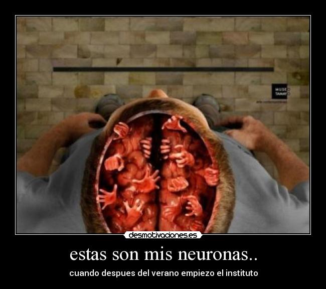 estas son mis neuronas.. - cuando despues del verano empiezo el instituto