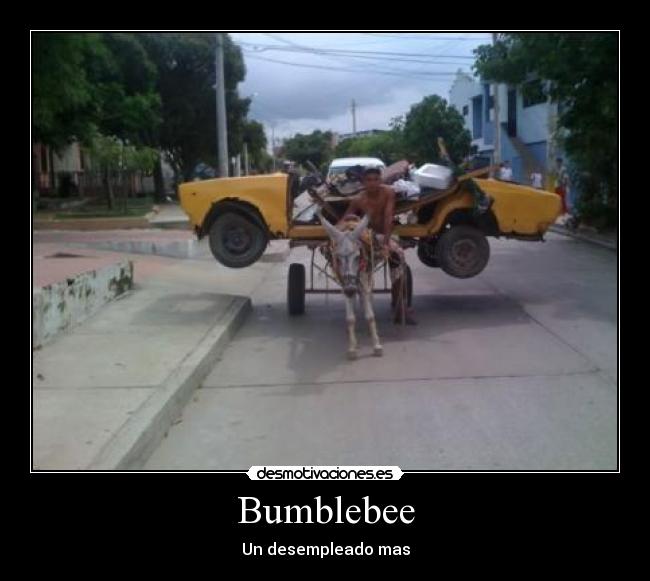 Bumblebee - 