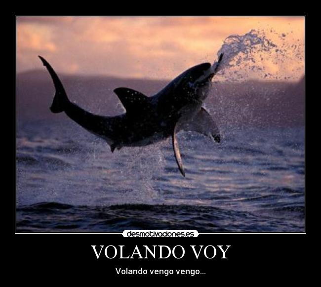 VOLANDO VOY -