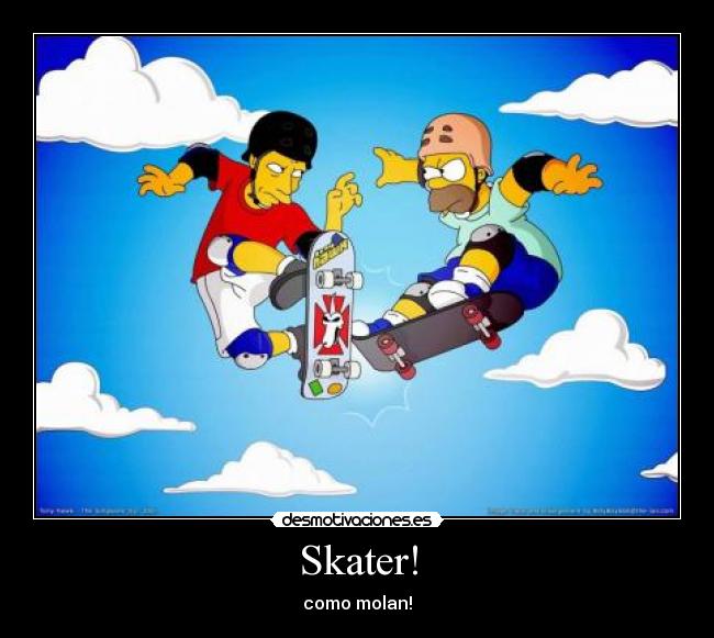carteles skater desmotivaciones