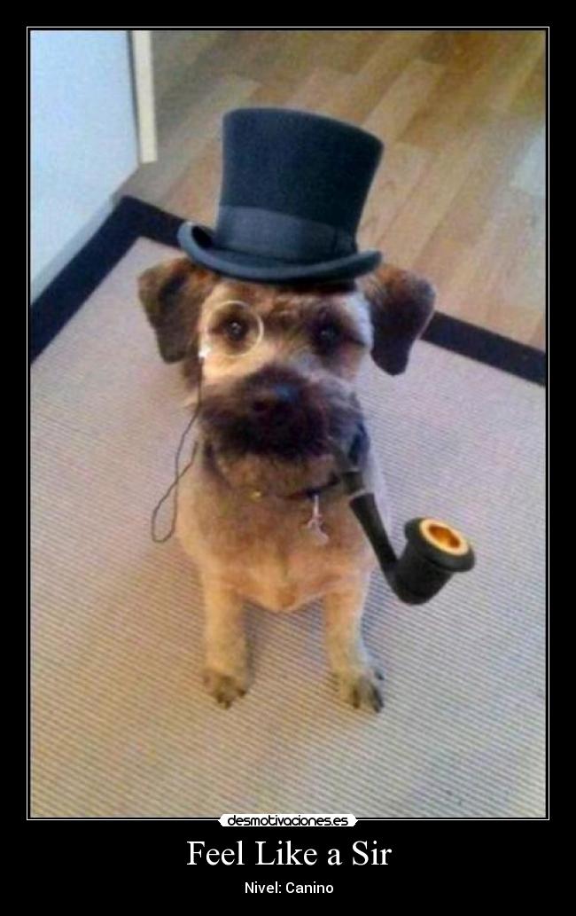 Feel Like a Sir - 