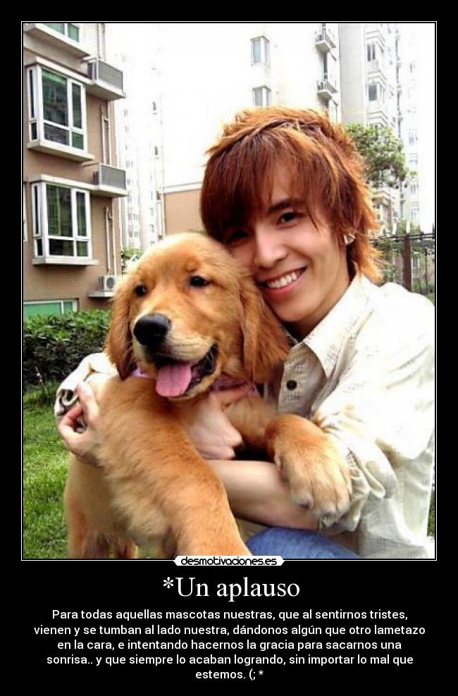 *Un aplauso - Para todas aquellas mascotas nuestras, que al sentirnos tristes,
vienen y se tumban al lado nuestra, dándonos algún que otro lametazo
en la cara, e intentando hacernos la gracia para sacarnos una
sonrisa.. y que siempre lo acaban logrando, sin importar lo mal que
estemos. (; *