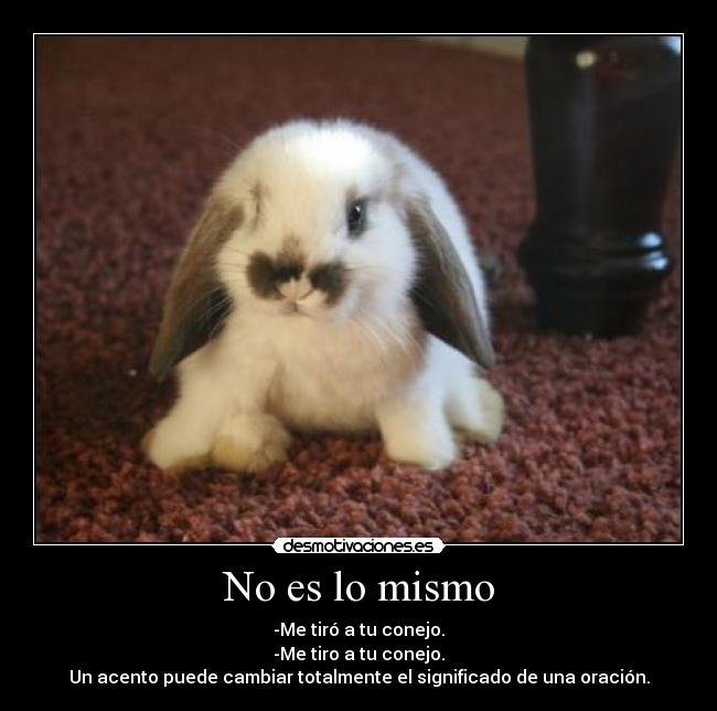 No es lo mismo - -Me tiró a tu conejo.
-Me tiro a tu conejo.
Un acento puede cambiar totalmente el significado de una oración.