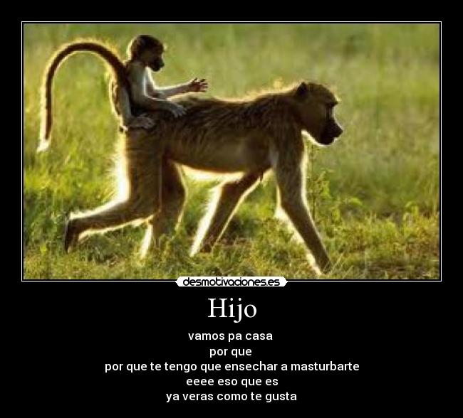 Hijo - 