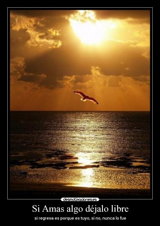 Si Amas algo déjalo libre -