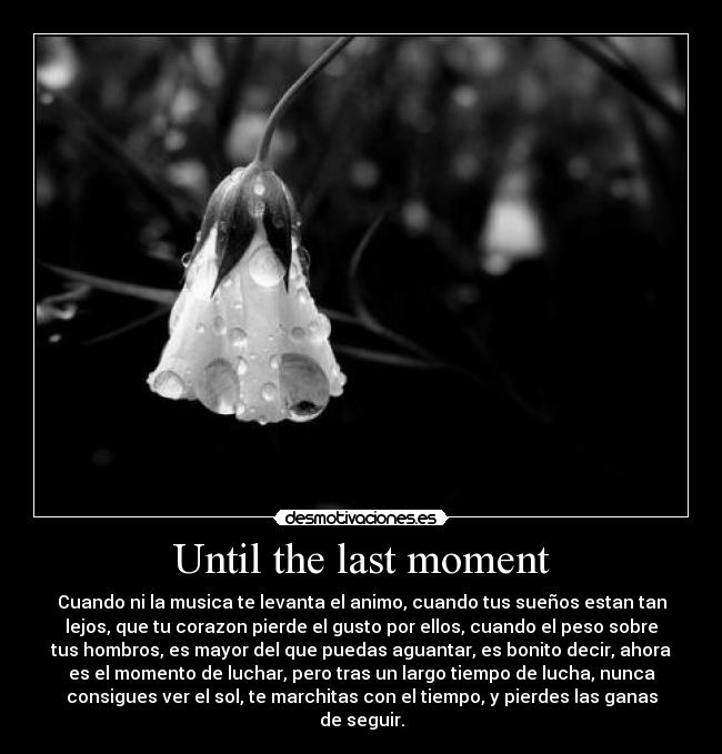 Until the last moment - Cuando ni la musica te levanta el animo, cuando tus sueños estan tan
lejos, que tu corazon pierde el gusto por ellos, cuando el peso sobre
tus hombros, es mayor del que puedas aguantar, es bonito decir, ahora
es el momento de luchar, pero tras un largo tiempo de lucha, nunca
consigues ver el sol, te marchitas con el tiempo, y pierdes las ganas
de seguir.