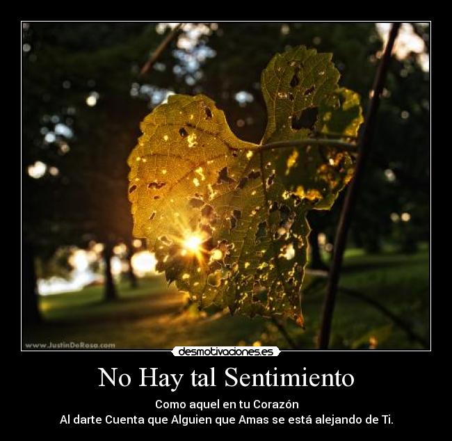 No Hay tal Sentimiento -