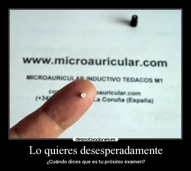 Lo quieres desesperadamente - ¿Cuándo dices que es tu próximo examen?