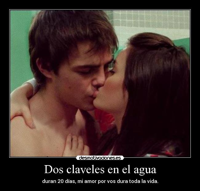 Dos claveles en el agua - duran 20 días, mi amor por vos dura toda la vida.