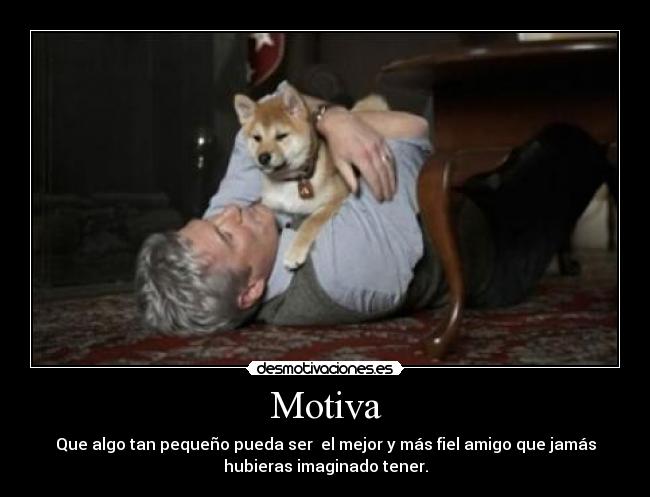 Motiva -