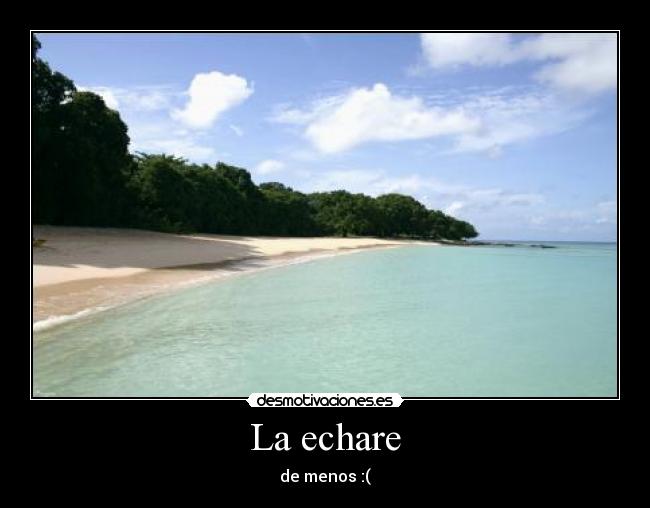 carteles truttmar desmotivaciones