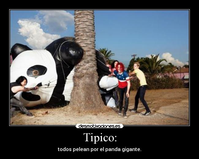 Tipico: - todos pelean por el panda gigante.