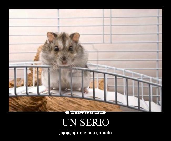 UN SERIO - jajajajaja me has ganado