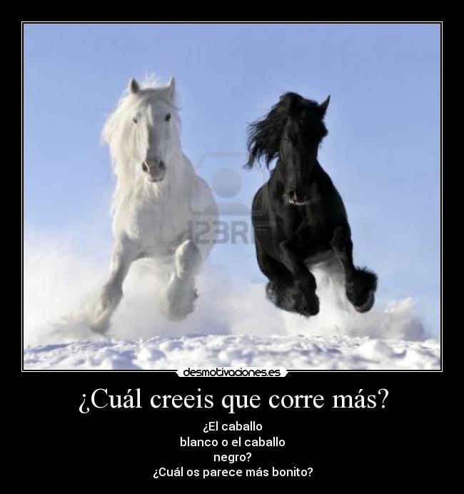 carteles blacky desmotivaciones