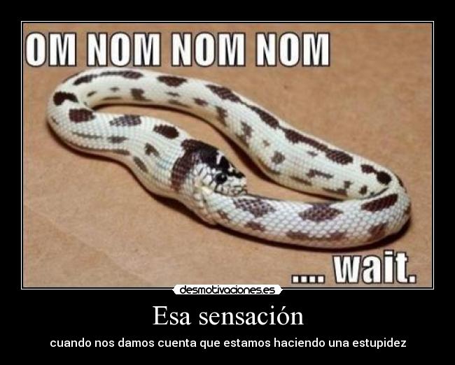 Esa sensación - cuando nos damos cuenta que estamos haciendo una estupidez