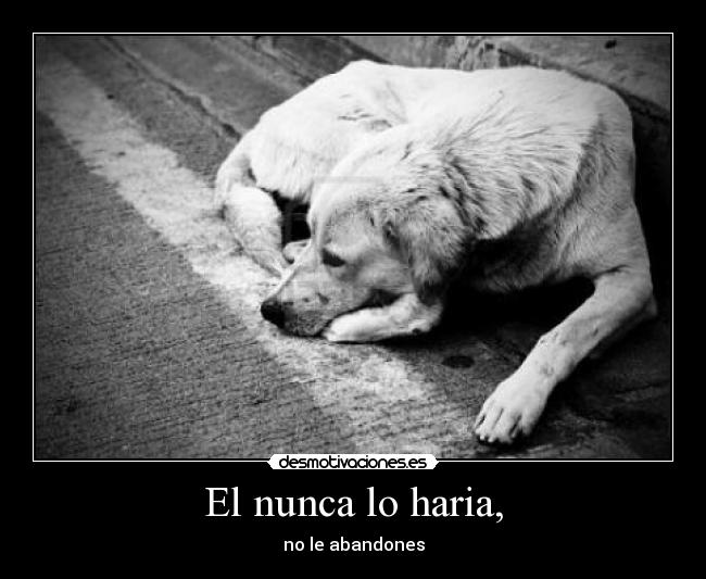 El nunca lo haria, - 