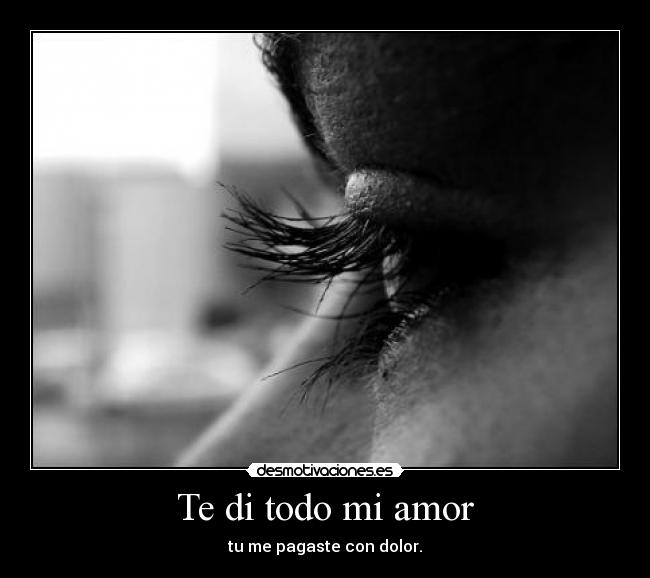 Te di todo mi amor - 