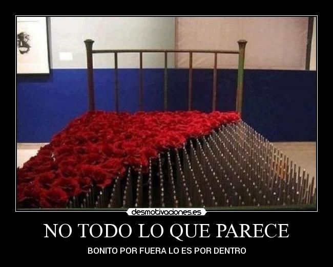 NO TODO LO QUE PARECE - BONITO POR FUERA LO ES POR DENTRO