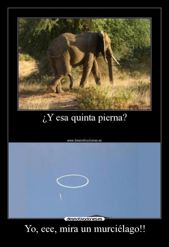 Yo, eee, mira un murciélago!! -