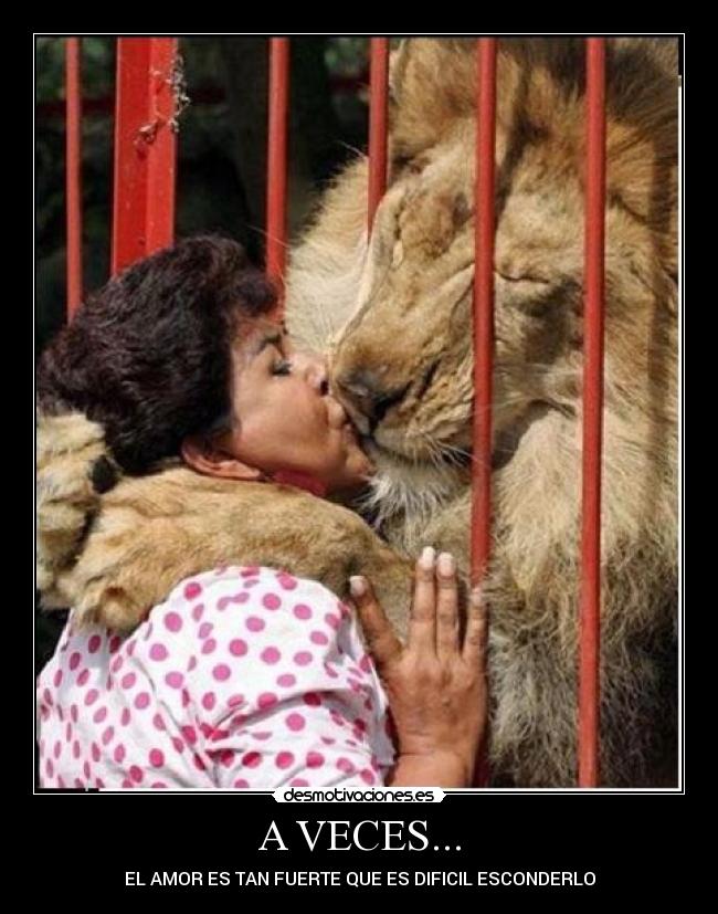 A VECES... - EL AMOR ES TAN FUERTE QUE ES DIFICIL ESCONDERLO