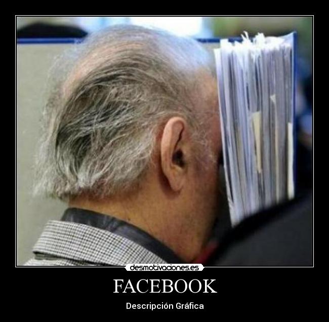 FACEBOOK - Descripción Gráfica