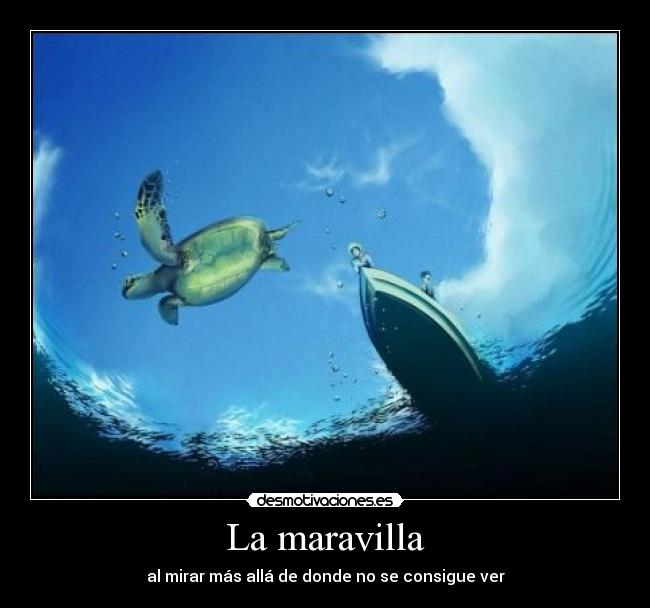 La maravilla - 