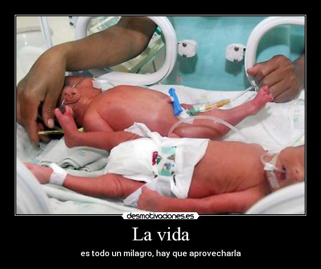 carteles vida vida milagro hay que aprovecharla desmotivaciones