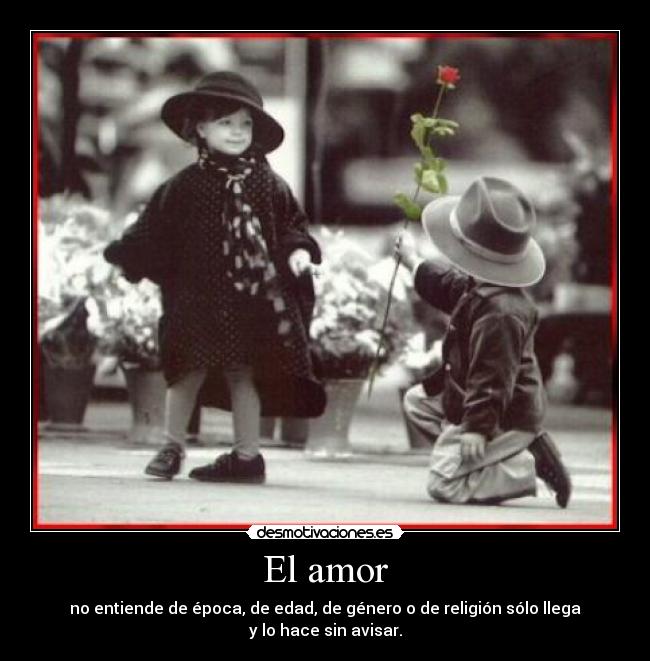 El amor - 