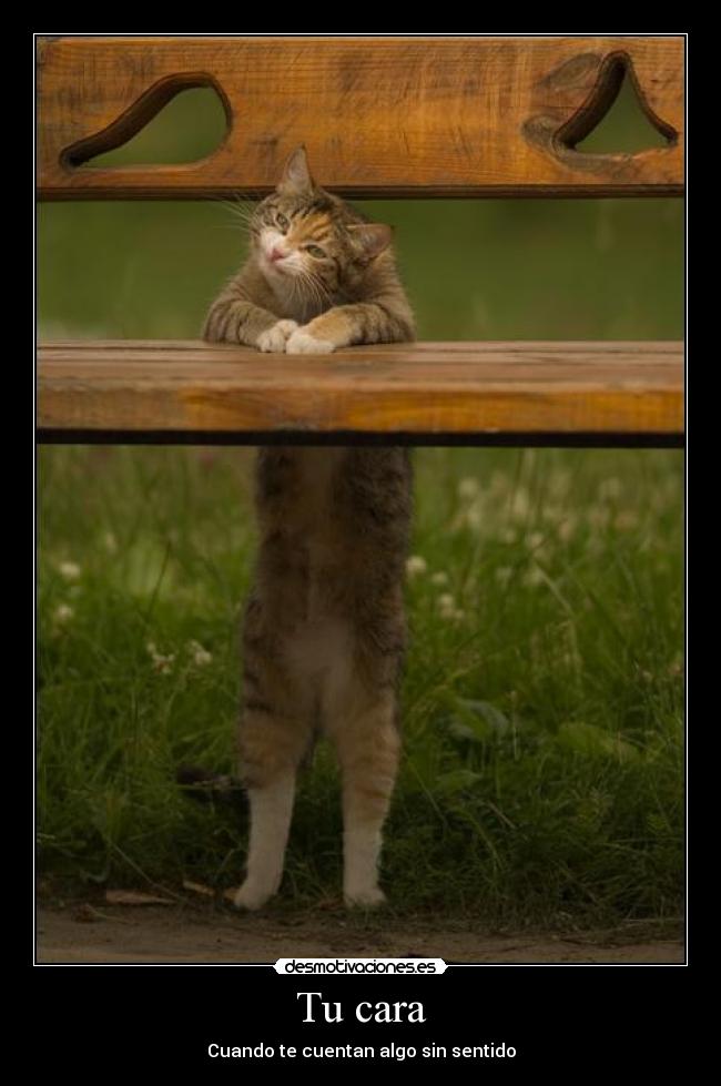 Tu cara - Cuando te cuentan algo sin sentido